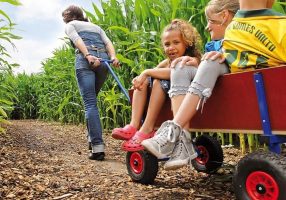 Berg toys Bollerwagen aus Holz mit Kindern